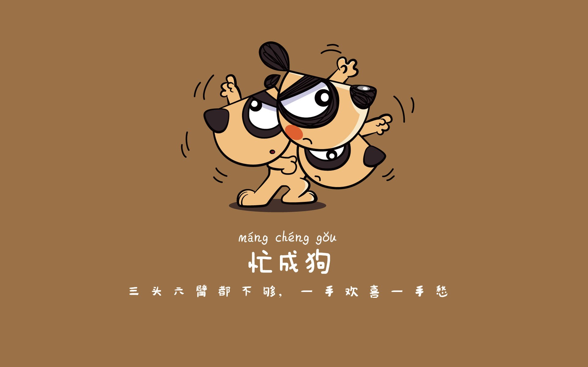 “极速滑行”——在急弯与直道中遨游自如，极速滑冰图片