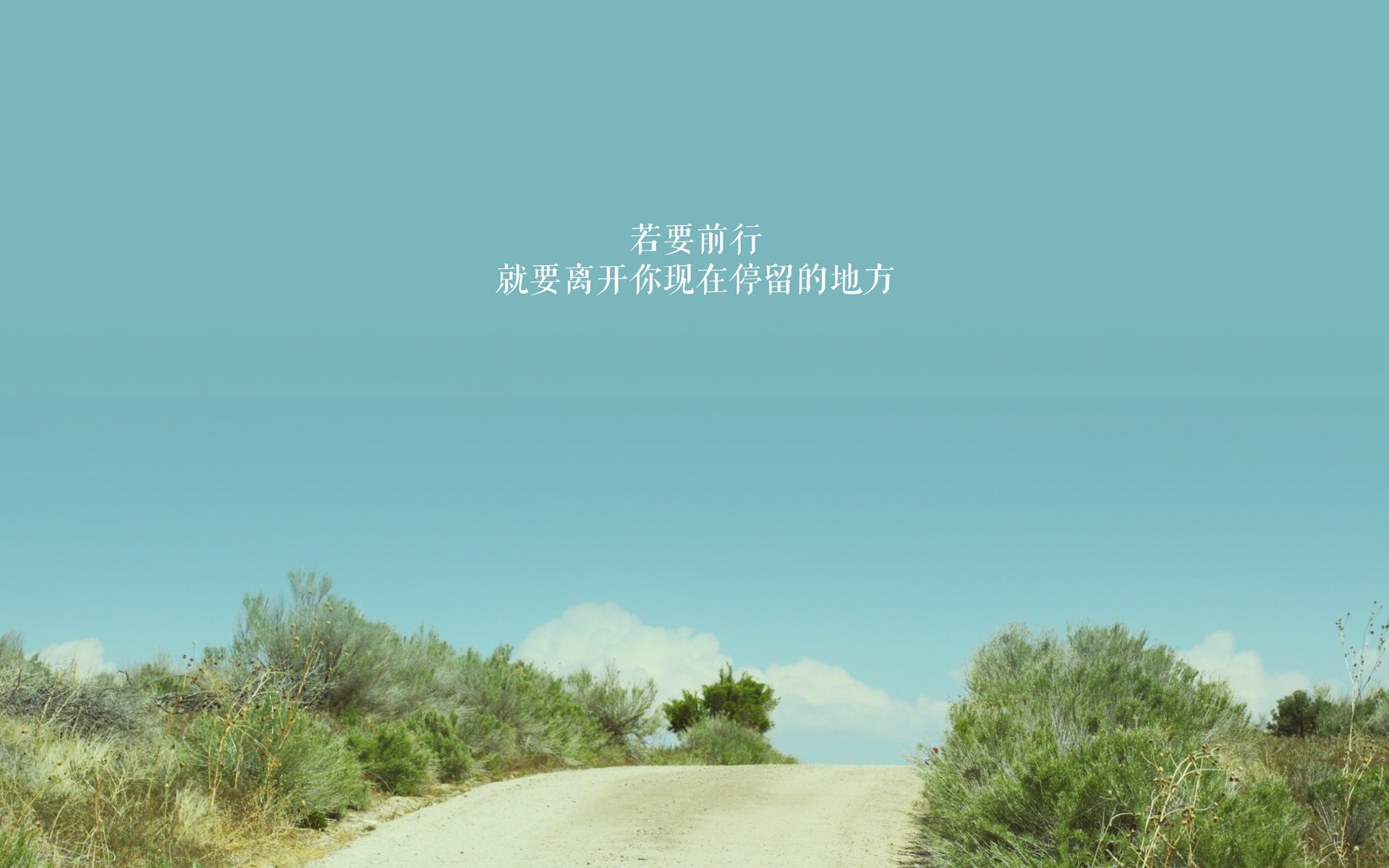 赛场上的精彩意外瞬间合集，赛场上的精彩瞬间作文