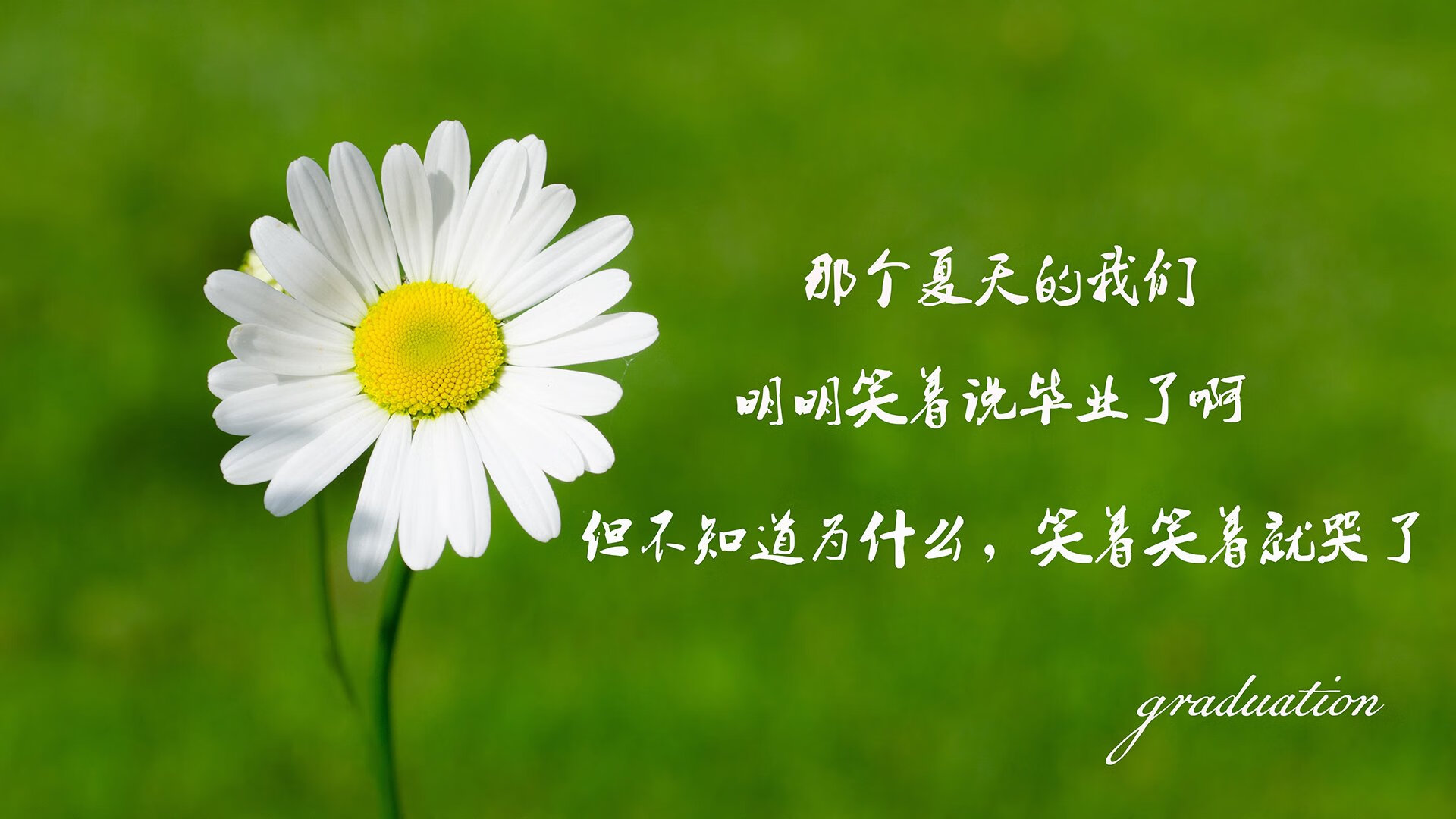 足球全国青训体系建设蓝图正式公布，什么叫足球青训体系是什么