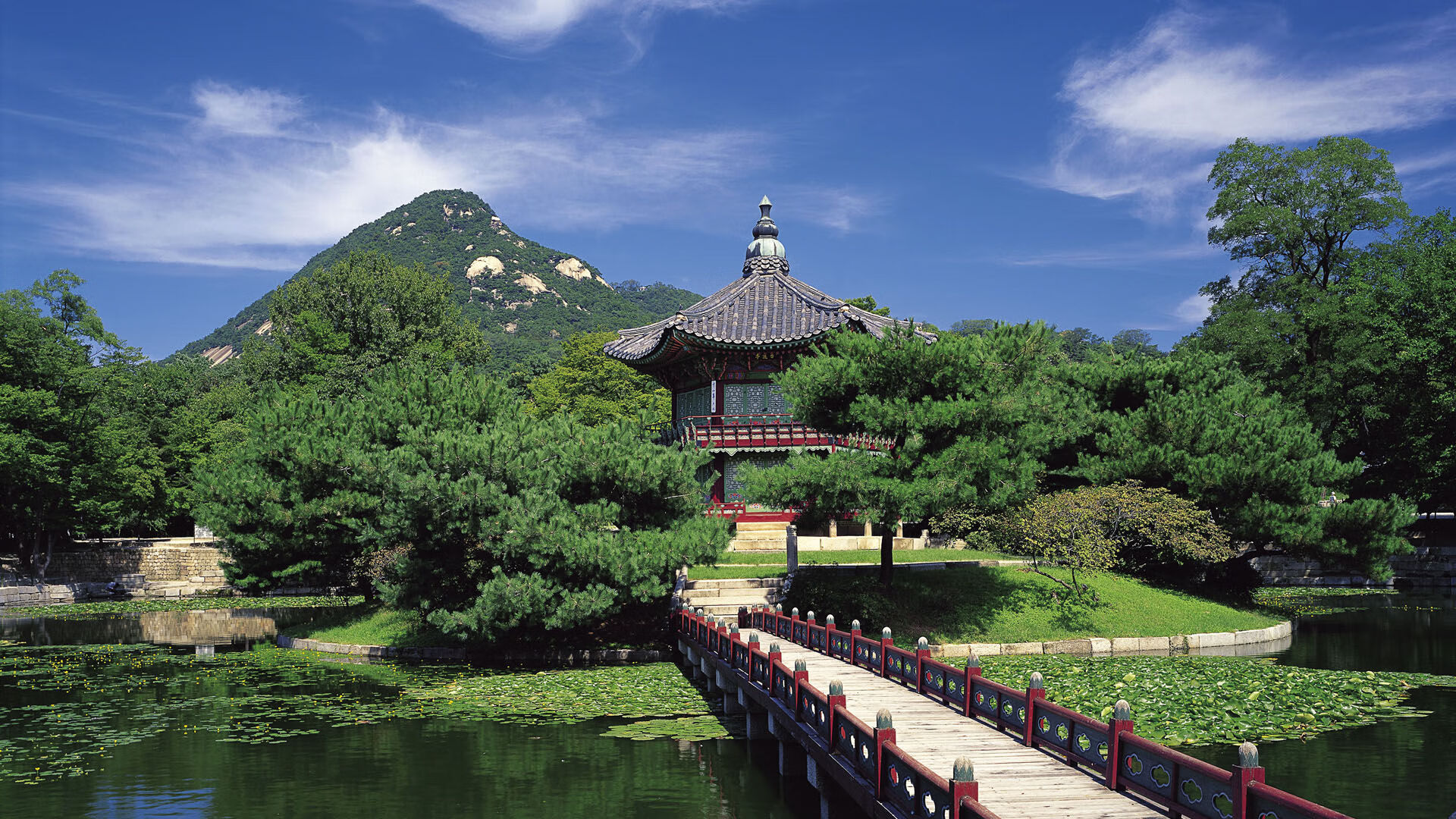 体育新闻中心协助高校开展体育新闻融合教学改革，体育学院新闻稿